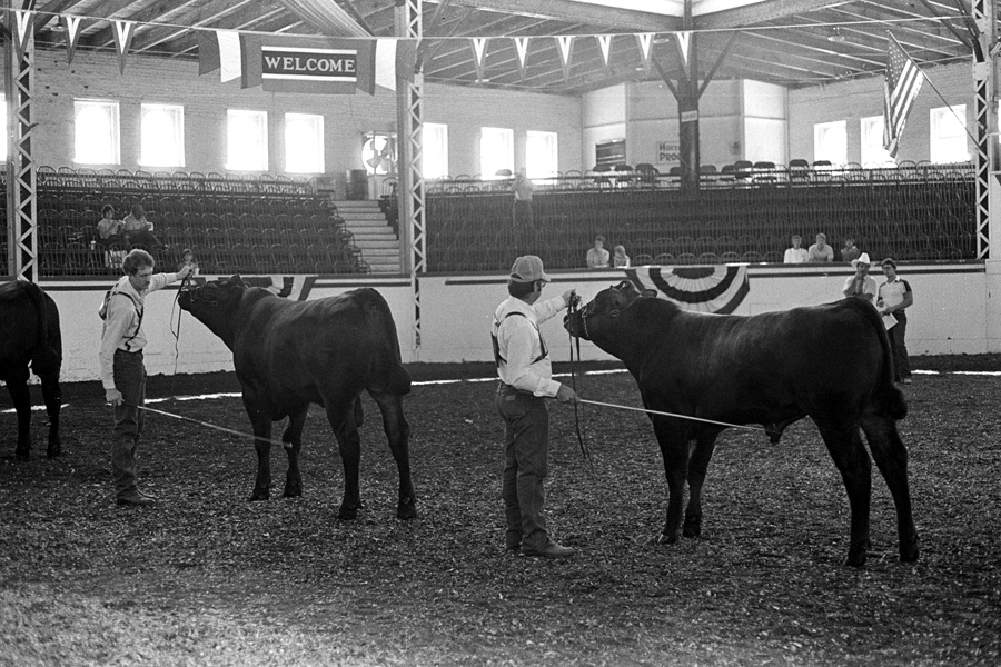 Click for more options